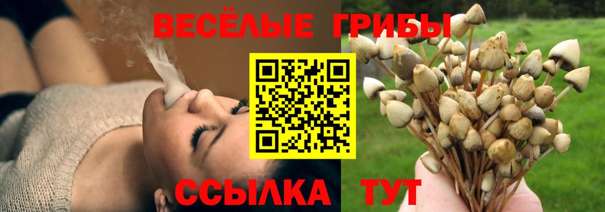 купить наркотики цена  Псилоцибиновые грибы Psilocybe  Севастополь  Вход с VPN  Галлюциногенные грибы прущие грибы 